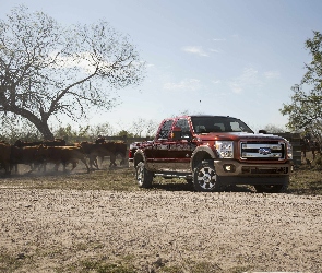 Ford, King Ranch Lineup