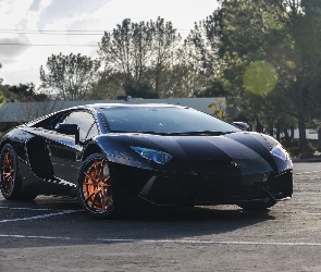 Aventador, Drzewa, Lamborghini