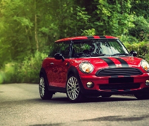 Droga, Drzewa, Mini, Cooper