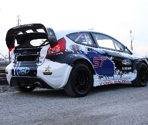 Race Car, Ford Fiesta ST