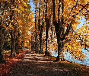 Jesień, Park
