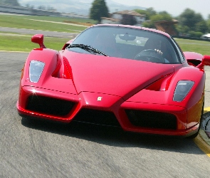 Enzo