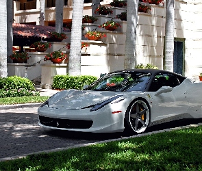 Kwiaty, Dom, Samochód, Biały, Ferrari, 458 Italia