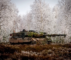 Czołg, Brzozy, Trawa, Leopard 2a5