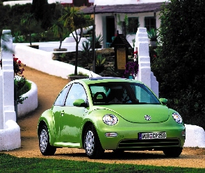 Zielony, Volkswagen New Beetle

