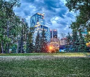 Calgary, Chmury, Drapacze Chmur, Park