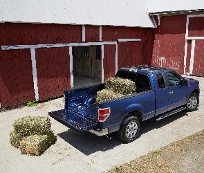 Ford, F-150 XLT