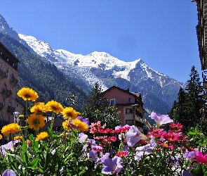 Chamonix, Kwiaty, Góry, Domy