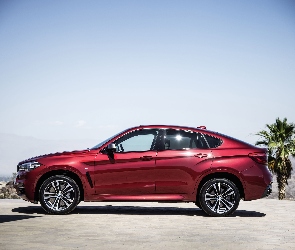 Czerwone, BMW X6
