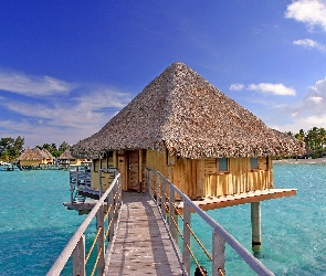 Palmy, Domek na wodzie, Bora Bora, Polinezja Francuska, Morze, Laguna