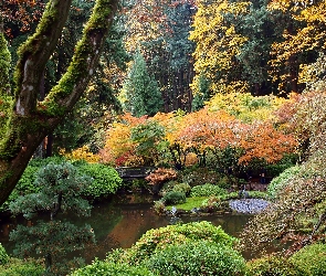 Portland, Park, Ogród, Oregon, Mostek, Japoński, Staw