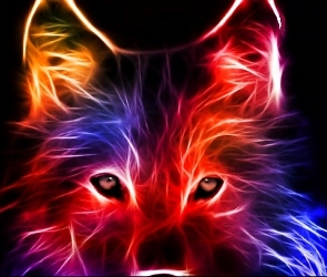 Wilk, Fractalius