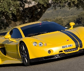 A 10, Żółty, Ascari