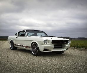 Ford Mustang Blizzard