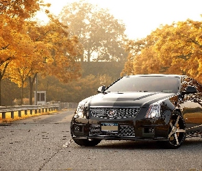 Droga, Drzewa, Cadillac, CTS-V