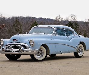 Zabytkowy, 1953, Skylark, Buick