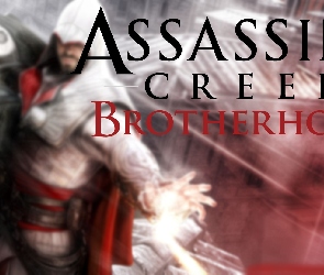 Assassins Creed Brotherhood