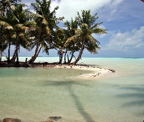 Kiribati, Palmy, Morze, Laguna