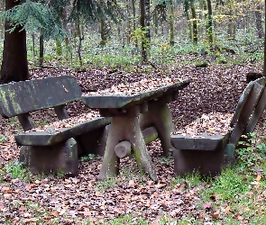 Park, Liście, Stół, Ławki, Jesień