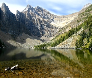 Jezioro, Świerki, Góry