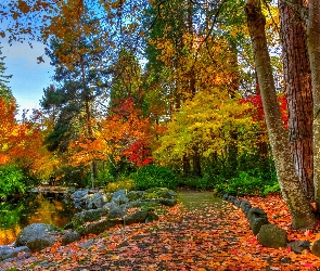 Drzewa, Kamienie, Alejka, Liście, Staw, Park, Jesień