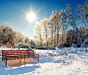 Zima, Śnieg, Park, Ławka, Promienie Słońca, Drzewa