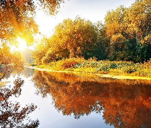 Rzeka, Drzewa, Jesień