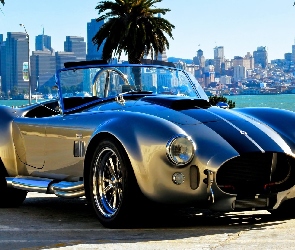 Tuningowane, Zabytkowy, Shelby, Cobra