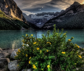 Kwiaty, Kamienie, Góry, Jezioro