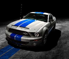 GT500, Ford Shelby