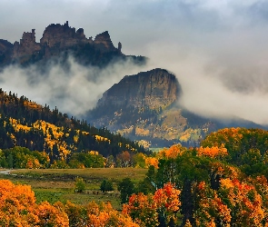 Góry, Las, Jesień, Drzewa, Mgła