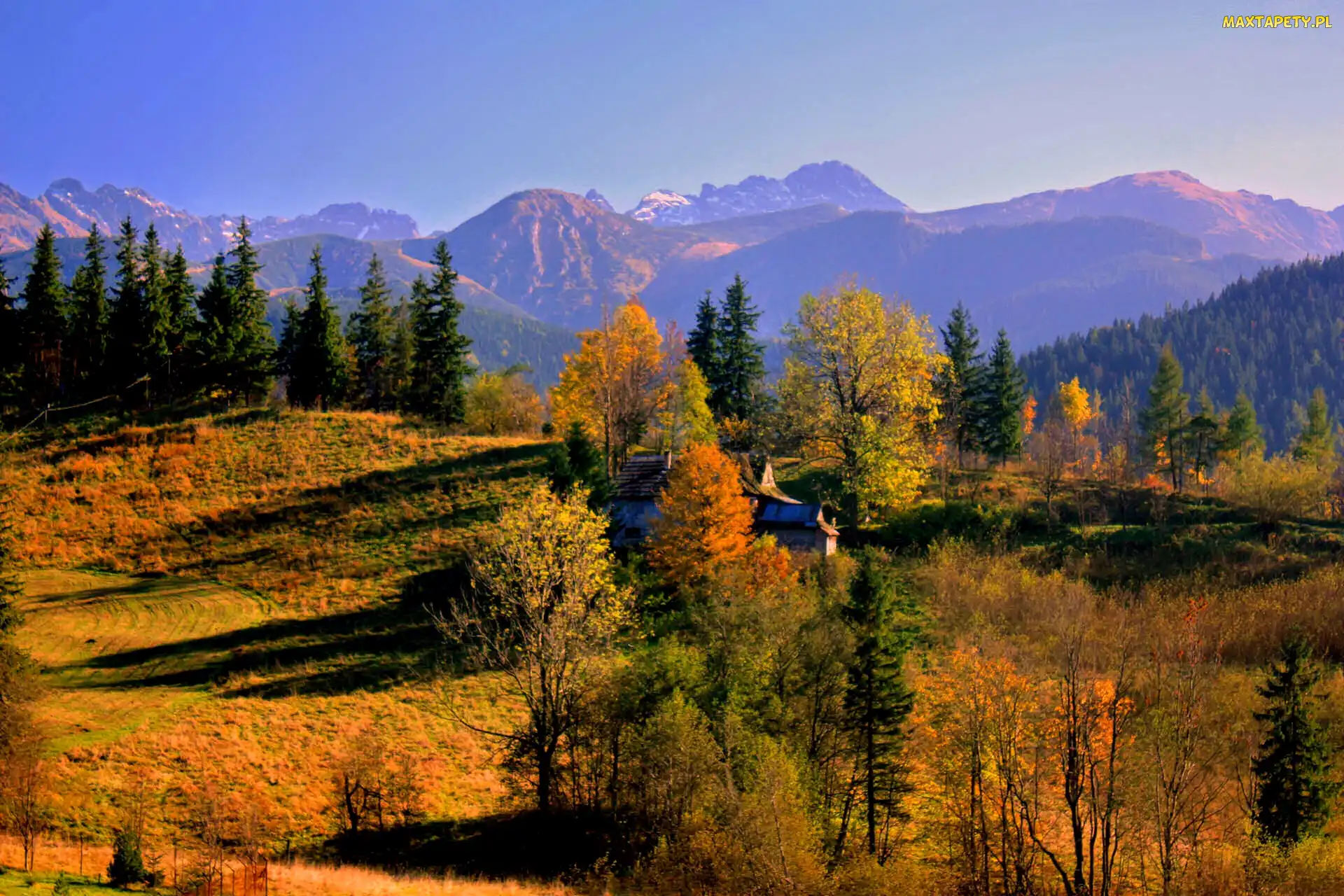 Drzewa, Góry, Jesień