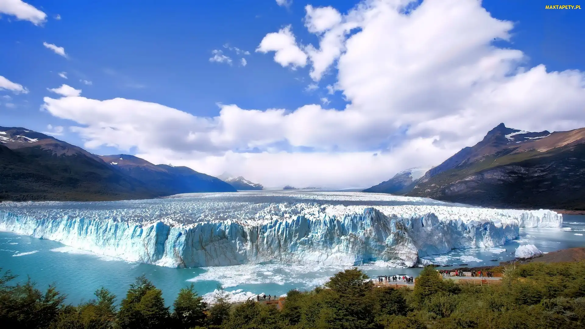 Park Narodowy Los Glaciares, Drzewa, Lodowiec, Argentyna, Perito Moreno, Góry