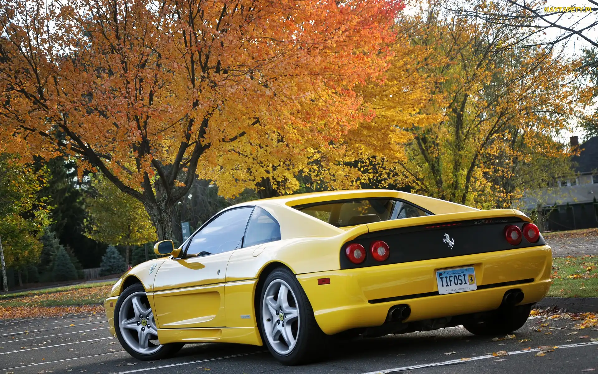 Ferrari 355 F1 Berlinetta, Drzewa, Plac