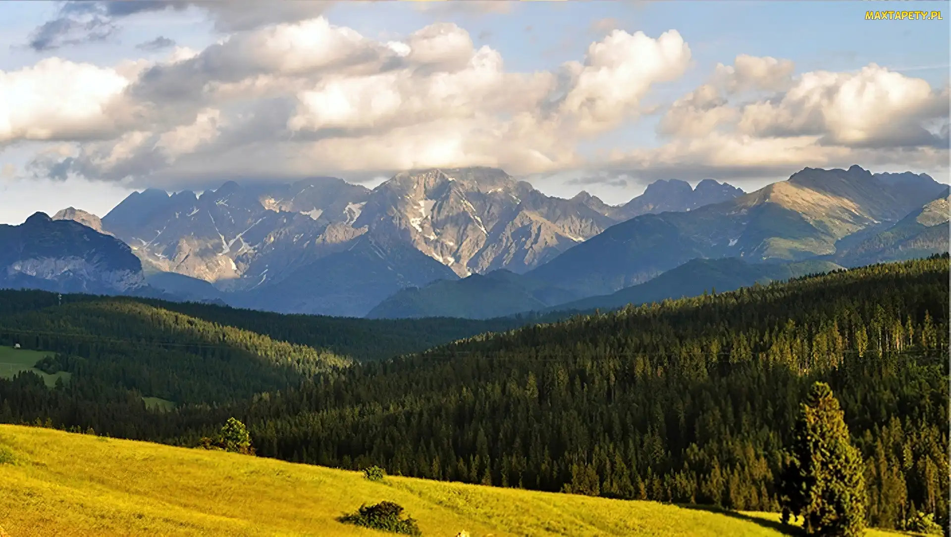 Tatrzańska, Góry, Bukowina