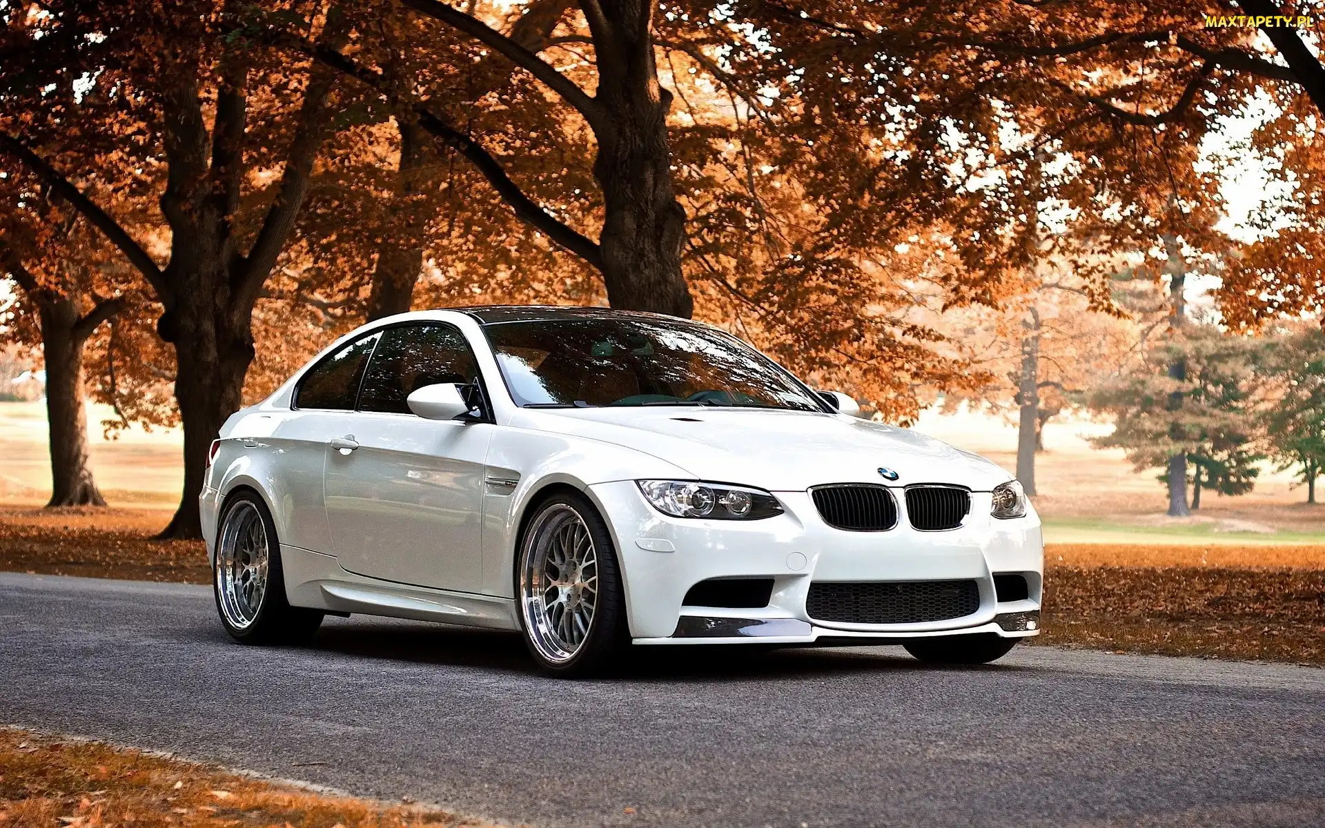 Droga, Liście, Bmw M3 Coupe