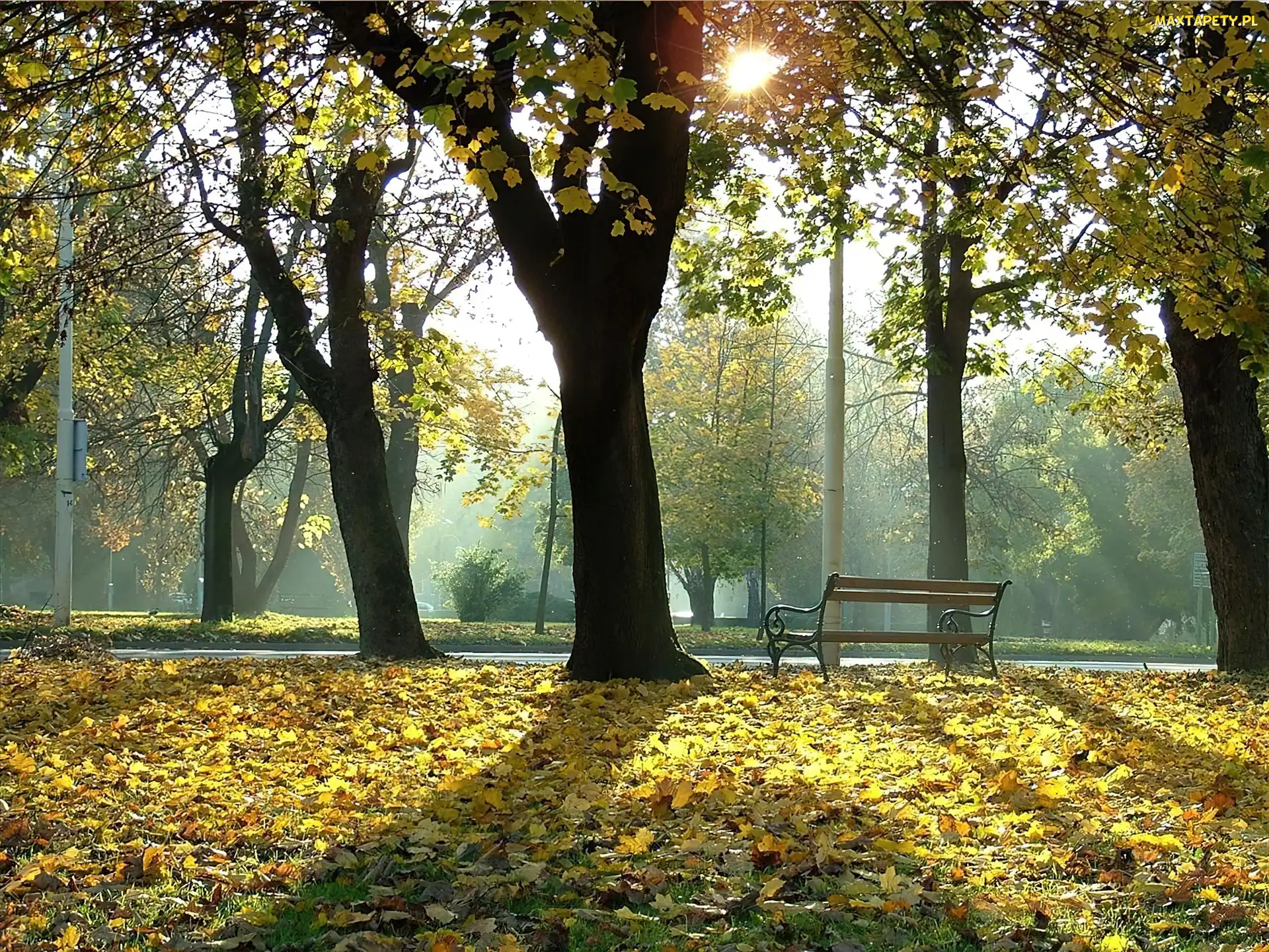 Jesień, Ławeczka, Park