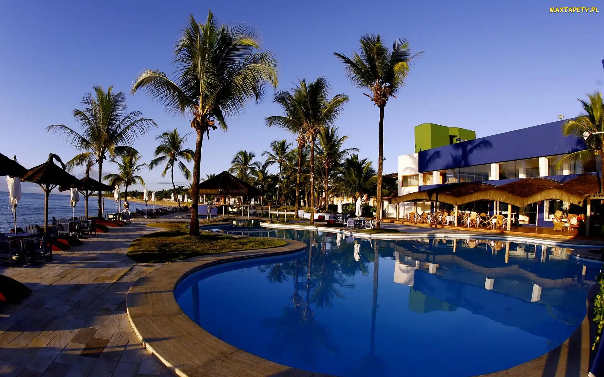 Basen, Palmy, Hotel