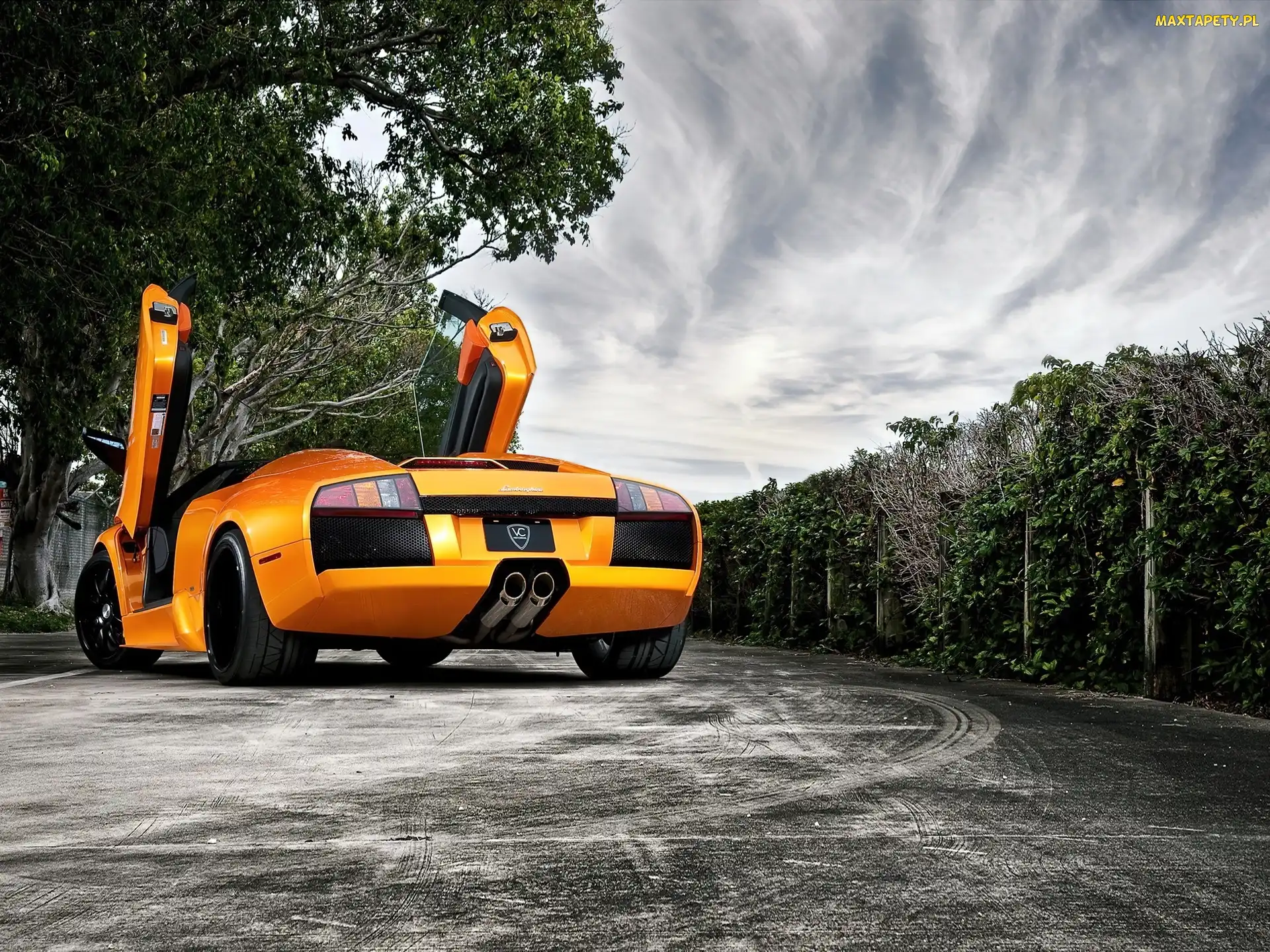 Drzewa, Lamborghini, Droga