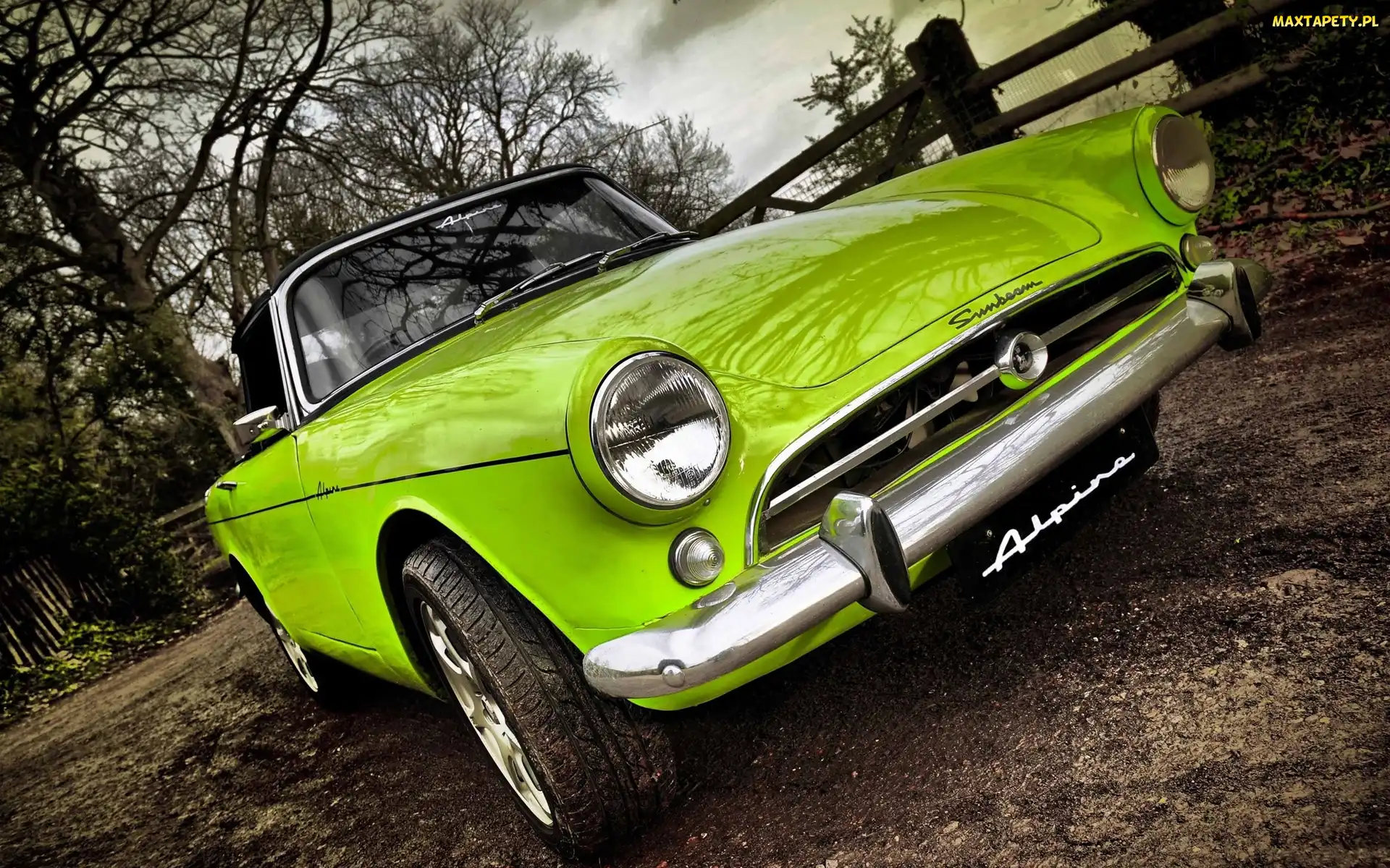 Ogrodzenie, Drzewa, Sunbeam Alpine, Podwórko