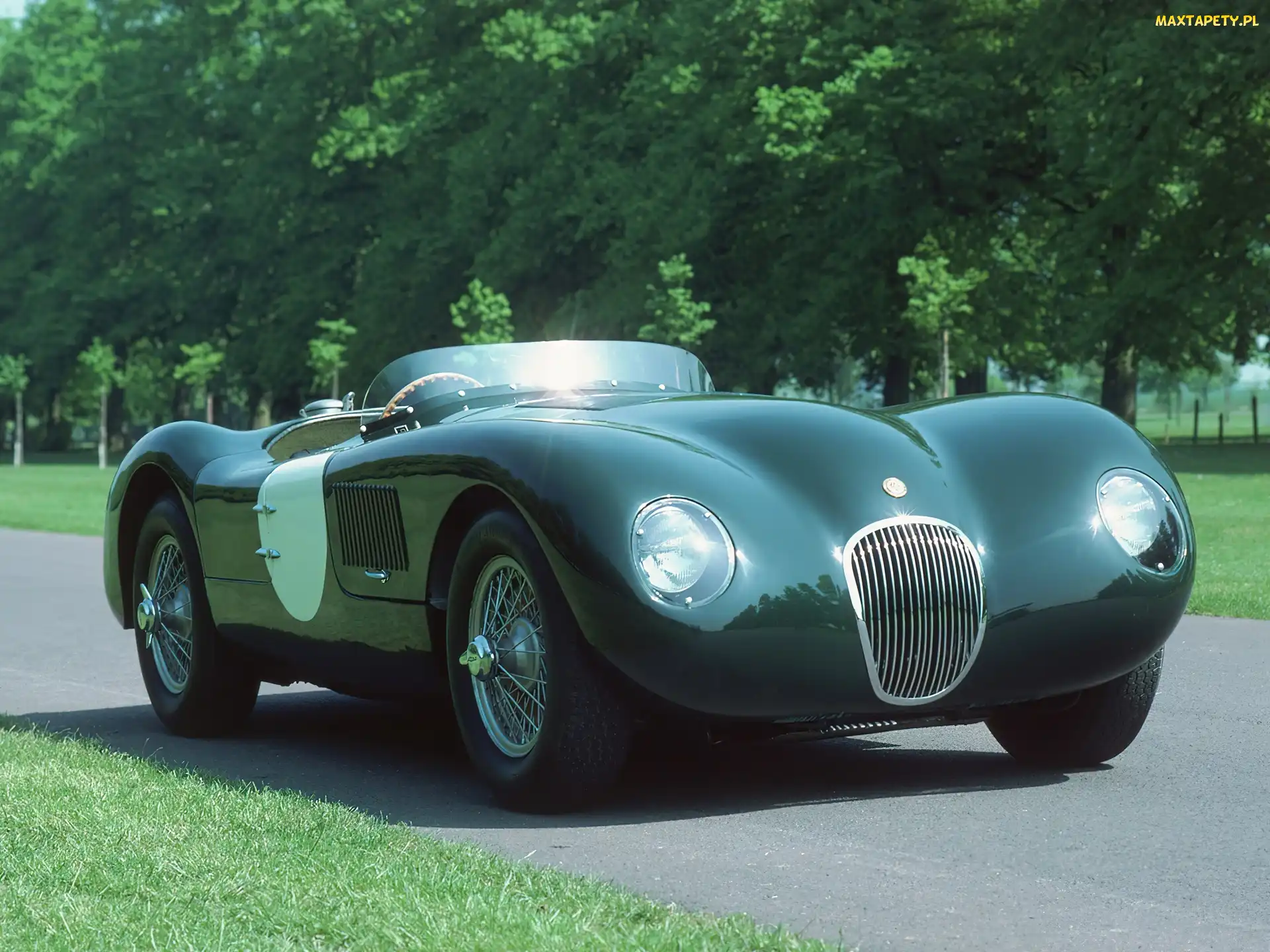 Jaguar C-Type, Kabriolet, Samochód