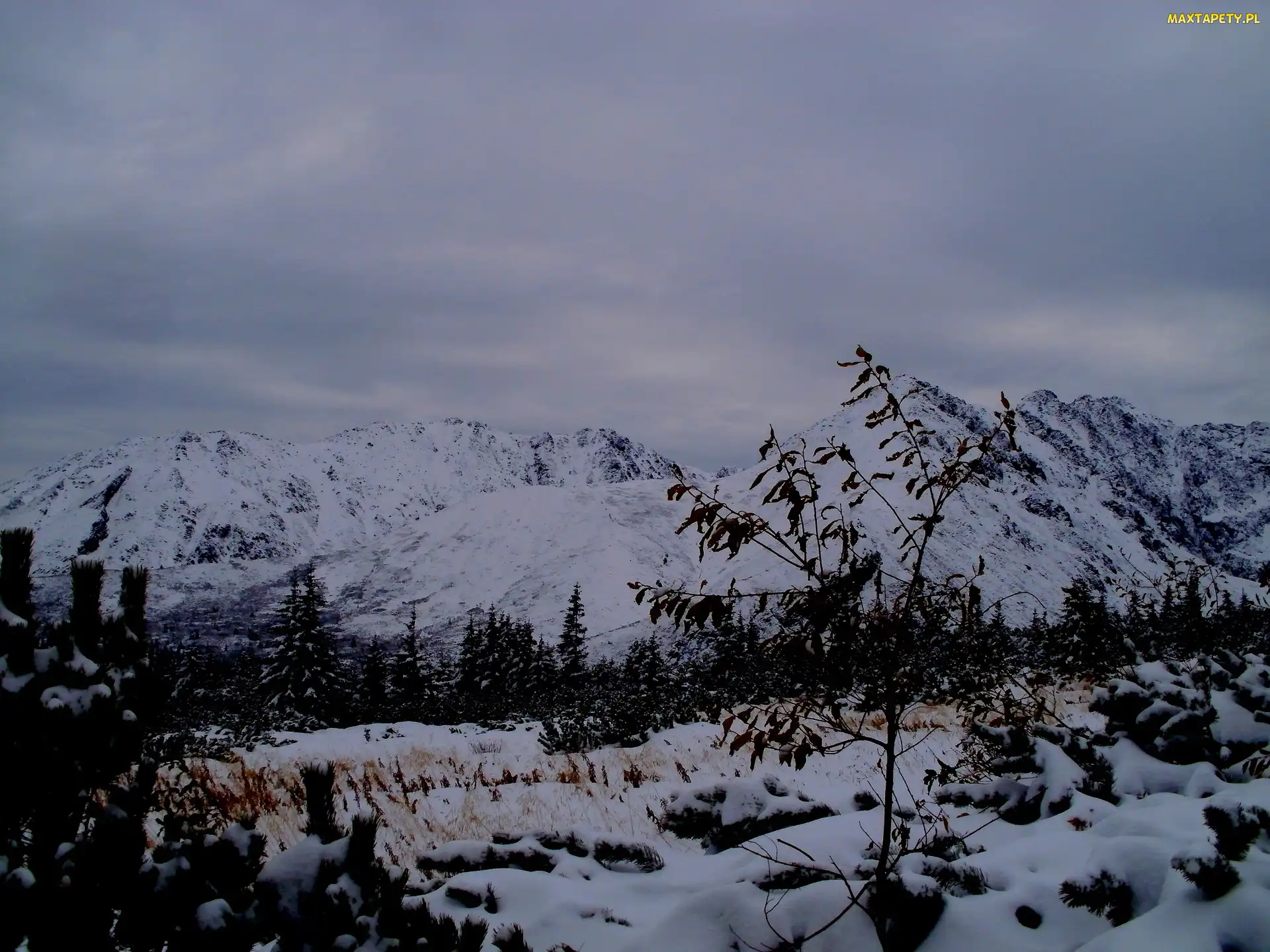 Góry, Gąsienicowa, Tatry, Hala, Zimą