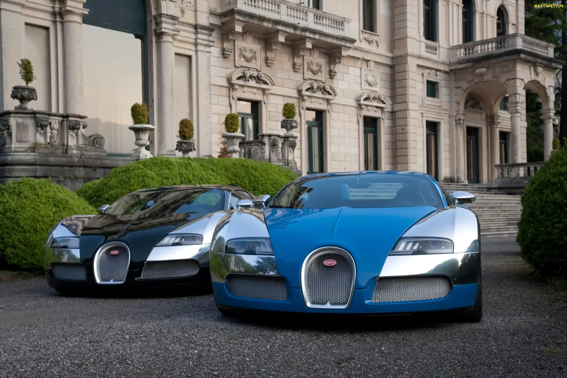 Zamek, Bugatti Veyron, Niebieski, Czarny