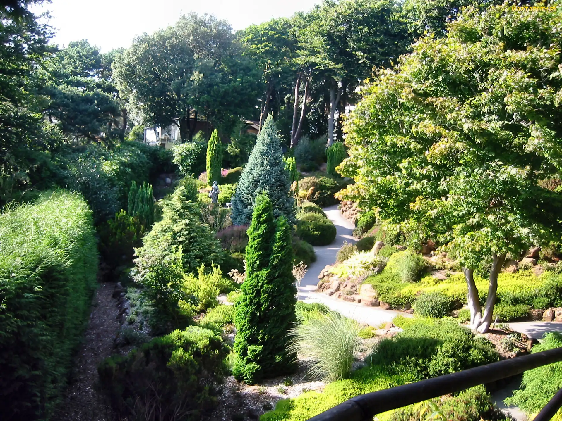 Park, Zieleń, Iglaki, Alejki