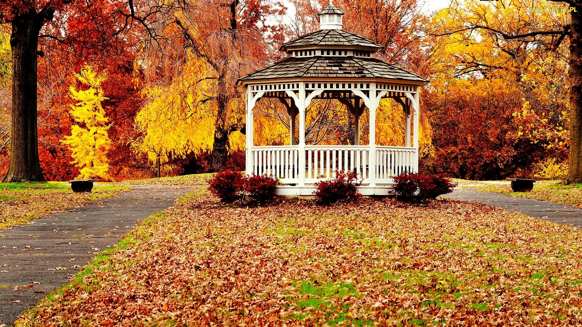 Park, Jesień, Altana