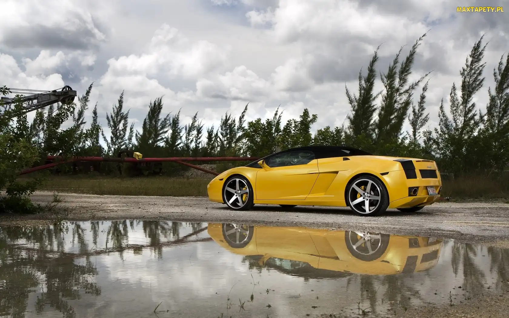 Lamborghini, Felgi, Żółte