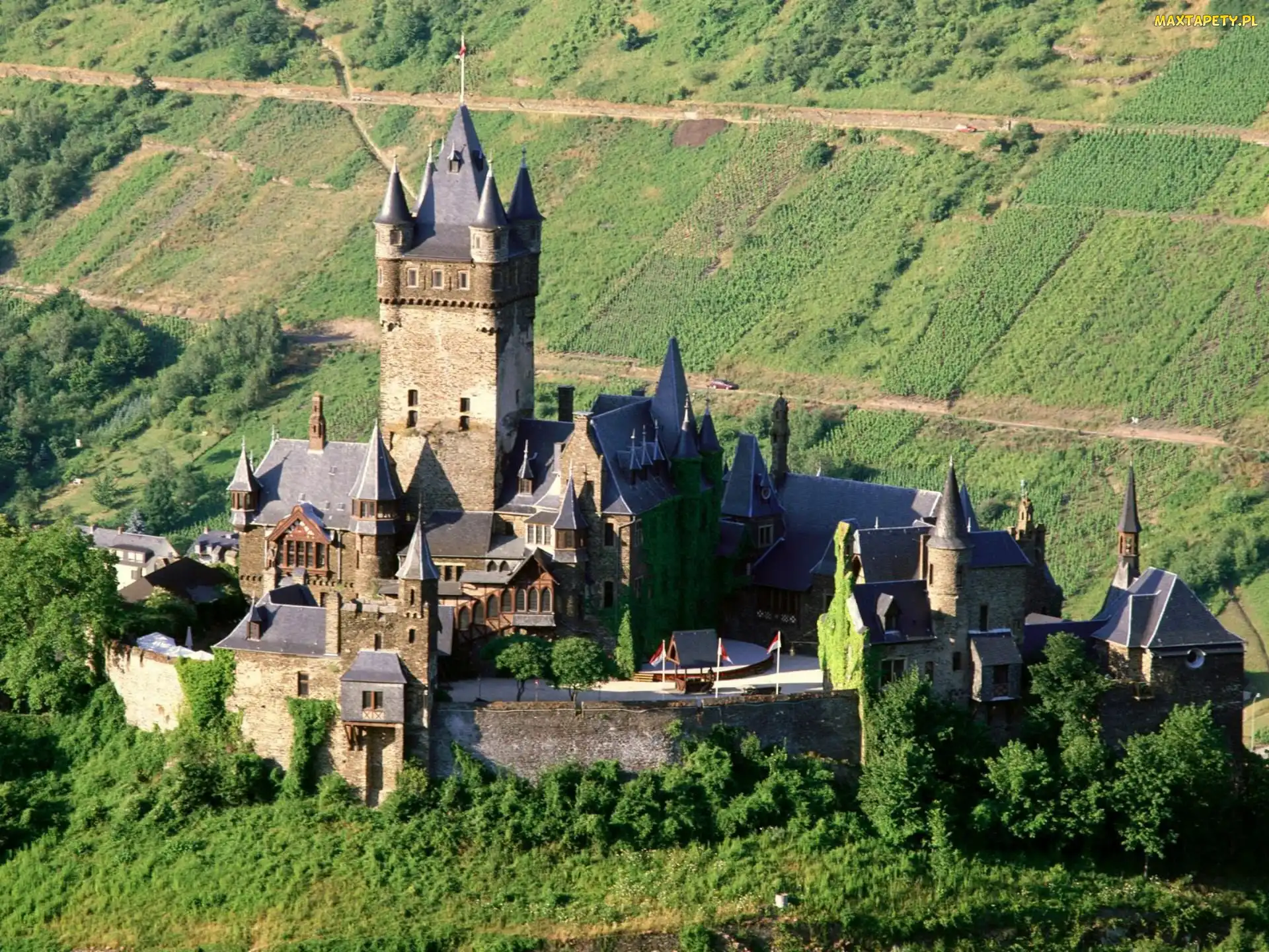 Zamek, Uprawne, Pola, Łąki