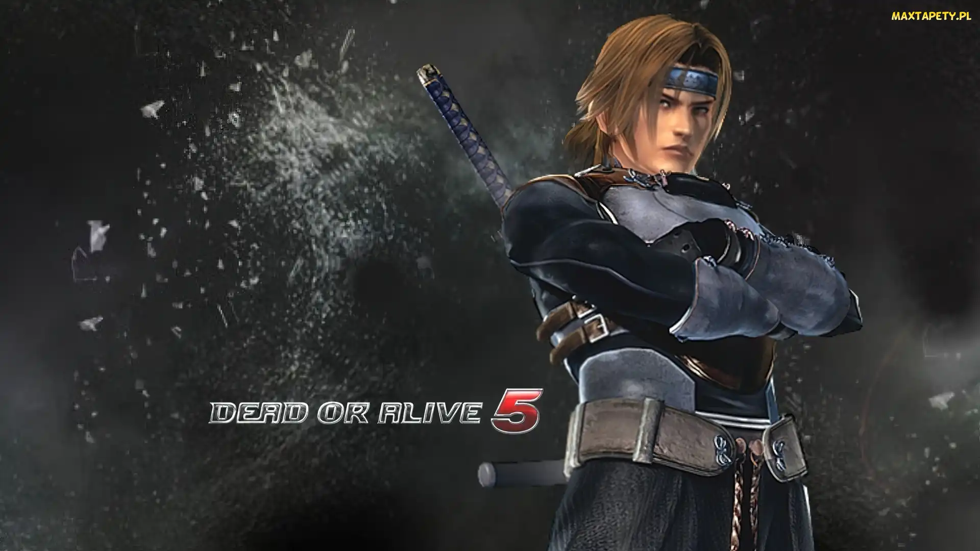 Dead Of Alive 5, Hayate