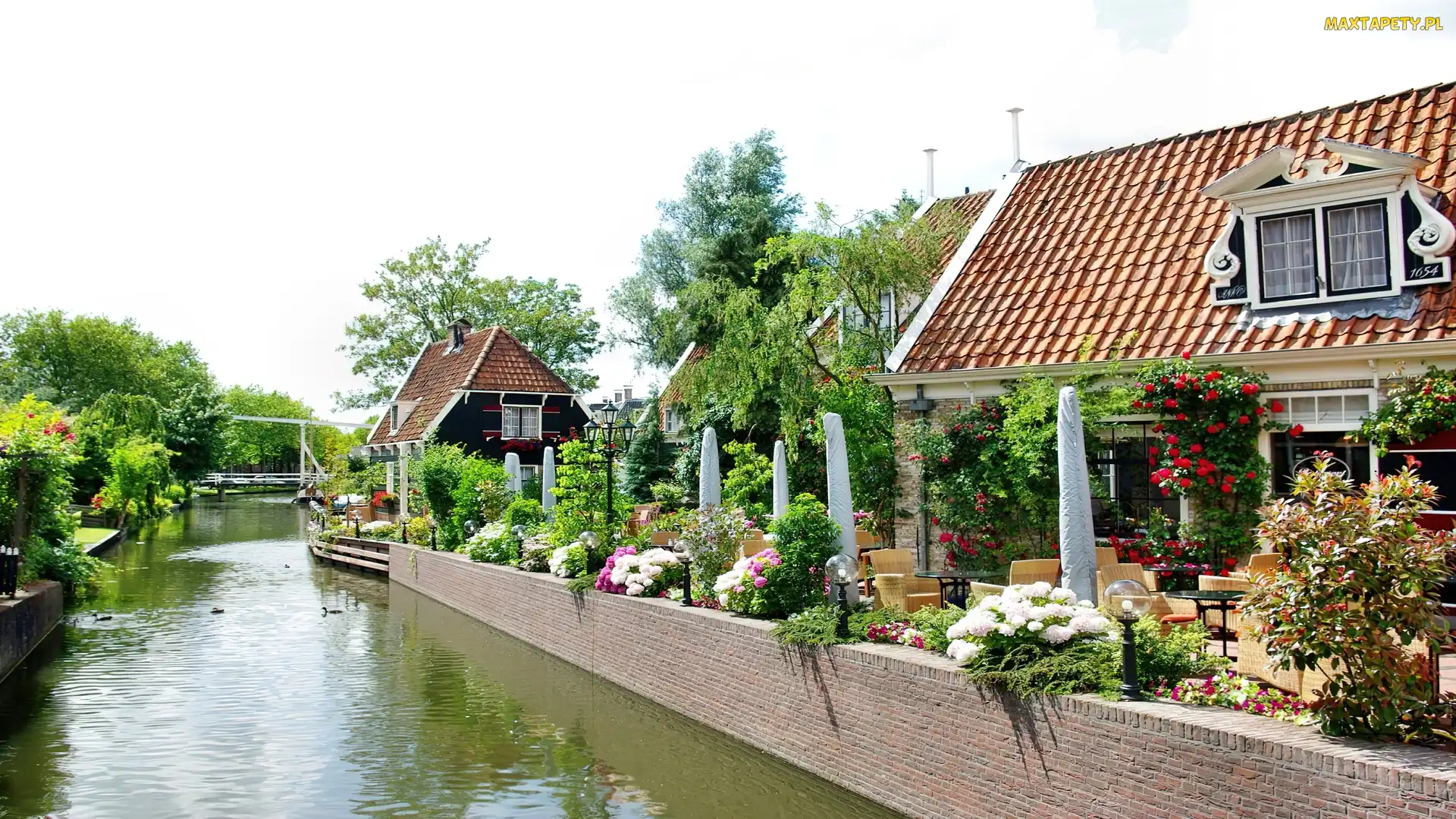 Miasteczko, Holandia, Abbekerk