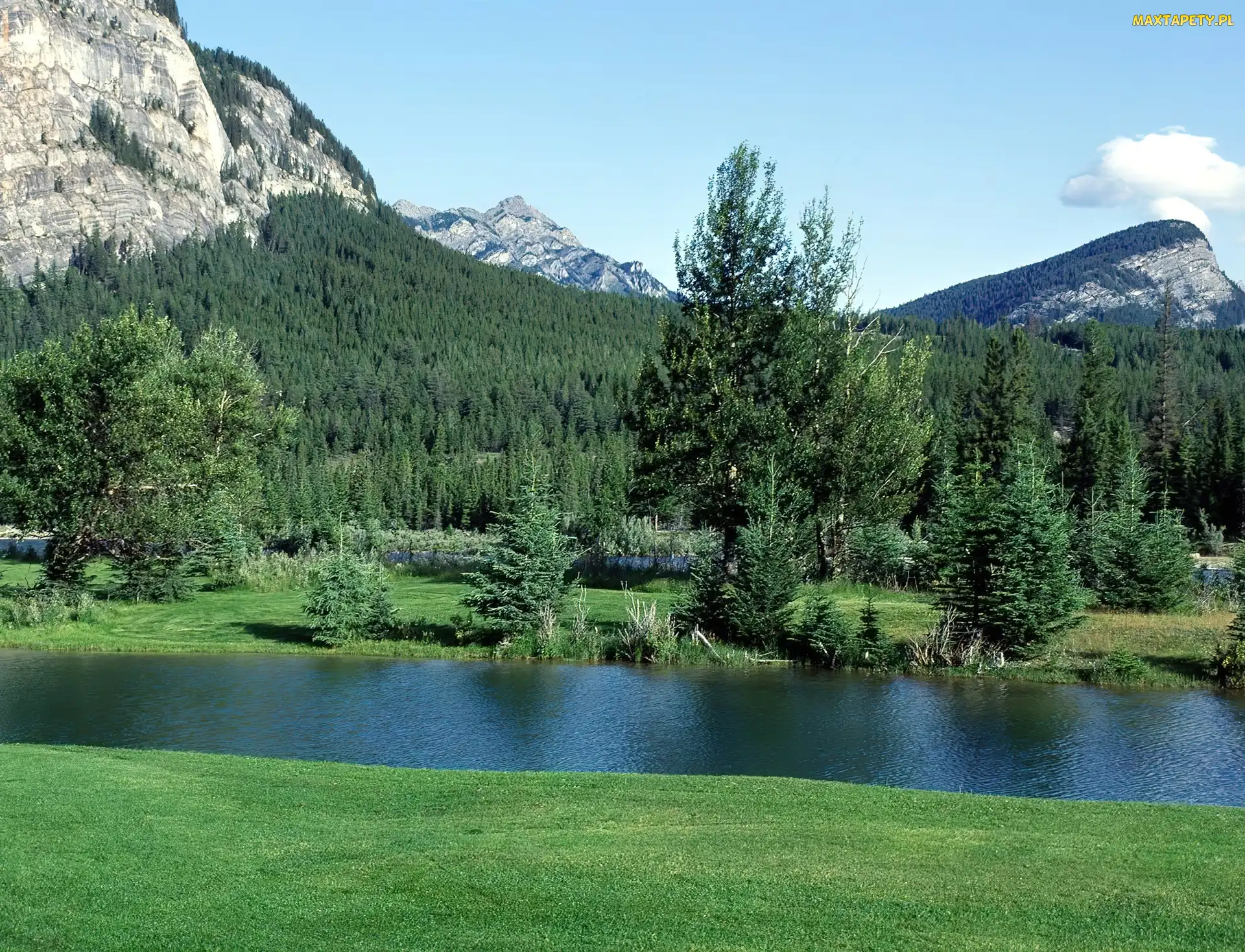Woda, Łąka, Park Narodowy Banff, Kanada, Góry, Las